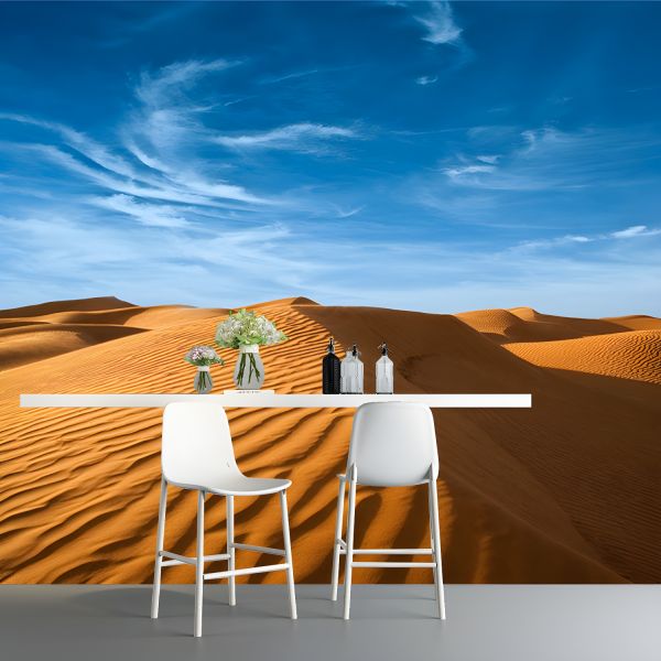 Sand Dunes Landscape Wall hot Art